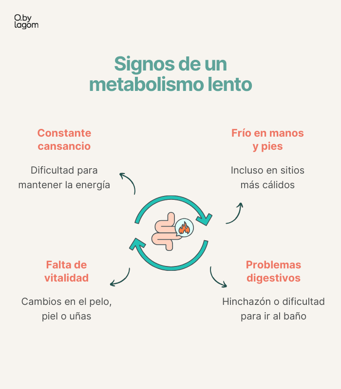 signos de un metabolismo lento